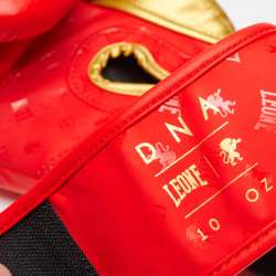 Gants de boxe DNA Leone GN220 rouge 4